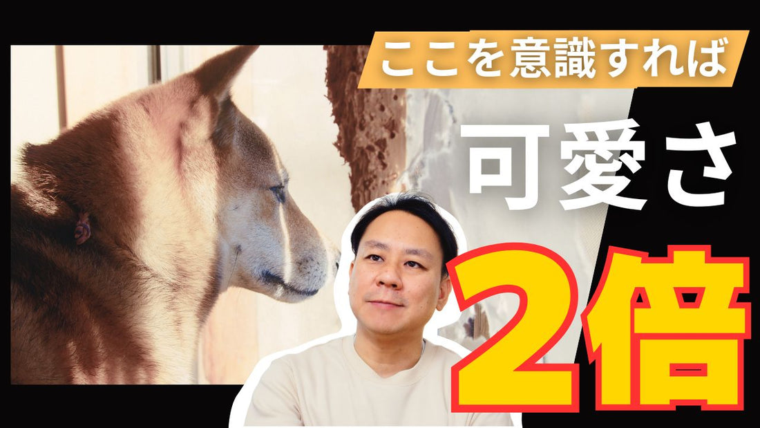 最新動画を公開しました。