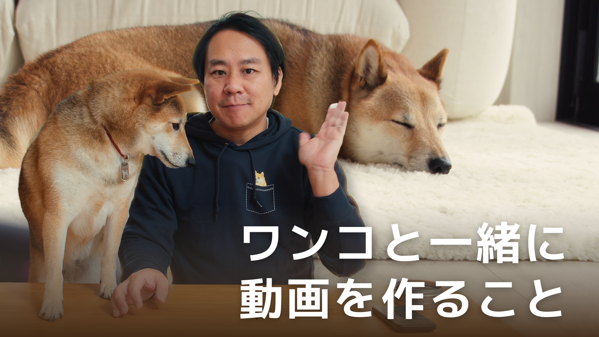 動画を読み込む: 